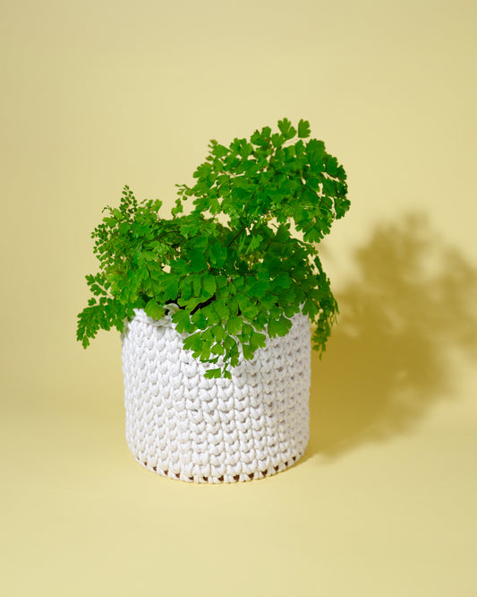 Image: Crochet Basket